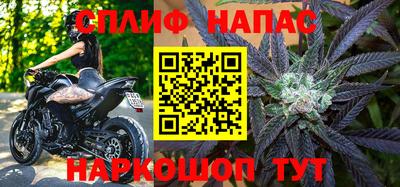стафф Будённовск