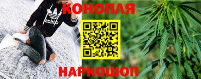 стафф Будённовск