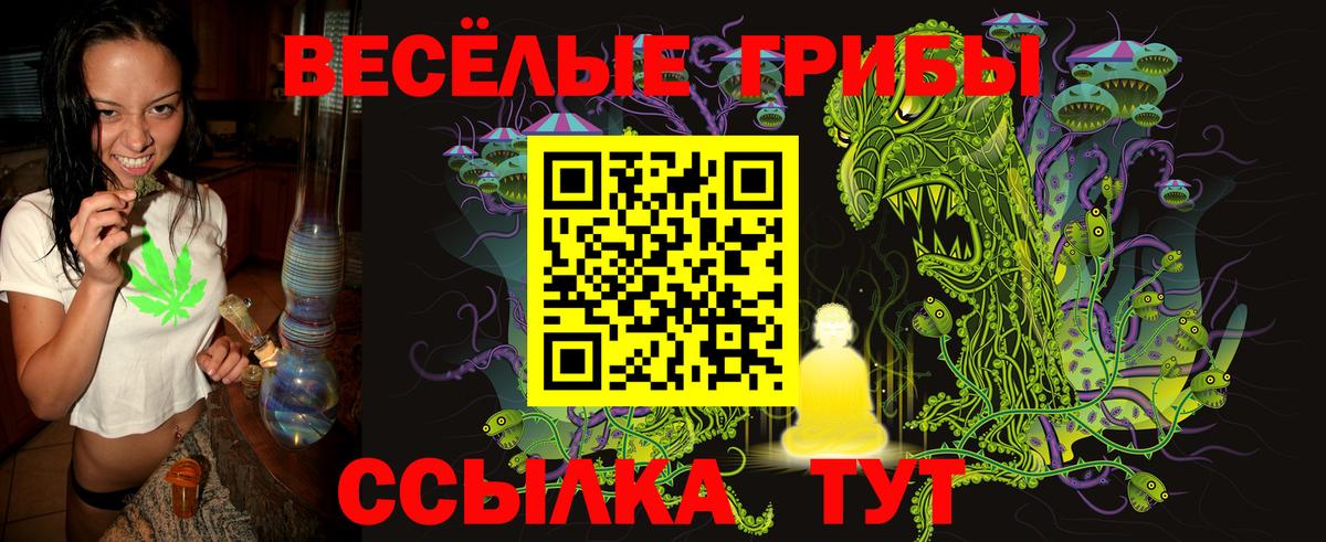Псилоцибиновые грибы Cubensis Стрежевой